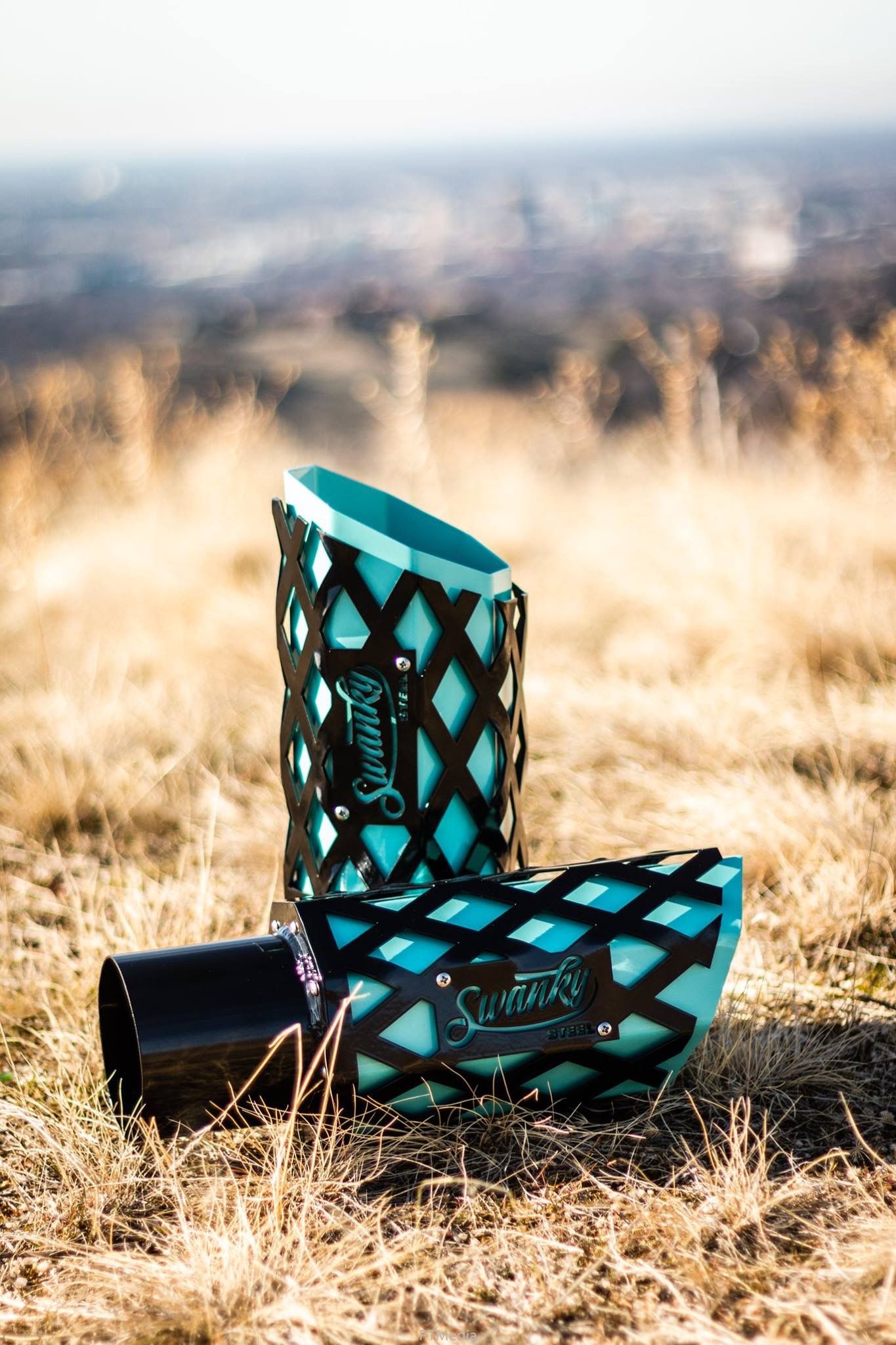 Turquoise and black patterned cowboy boots lying on dry grass in golden sunlight.