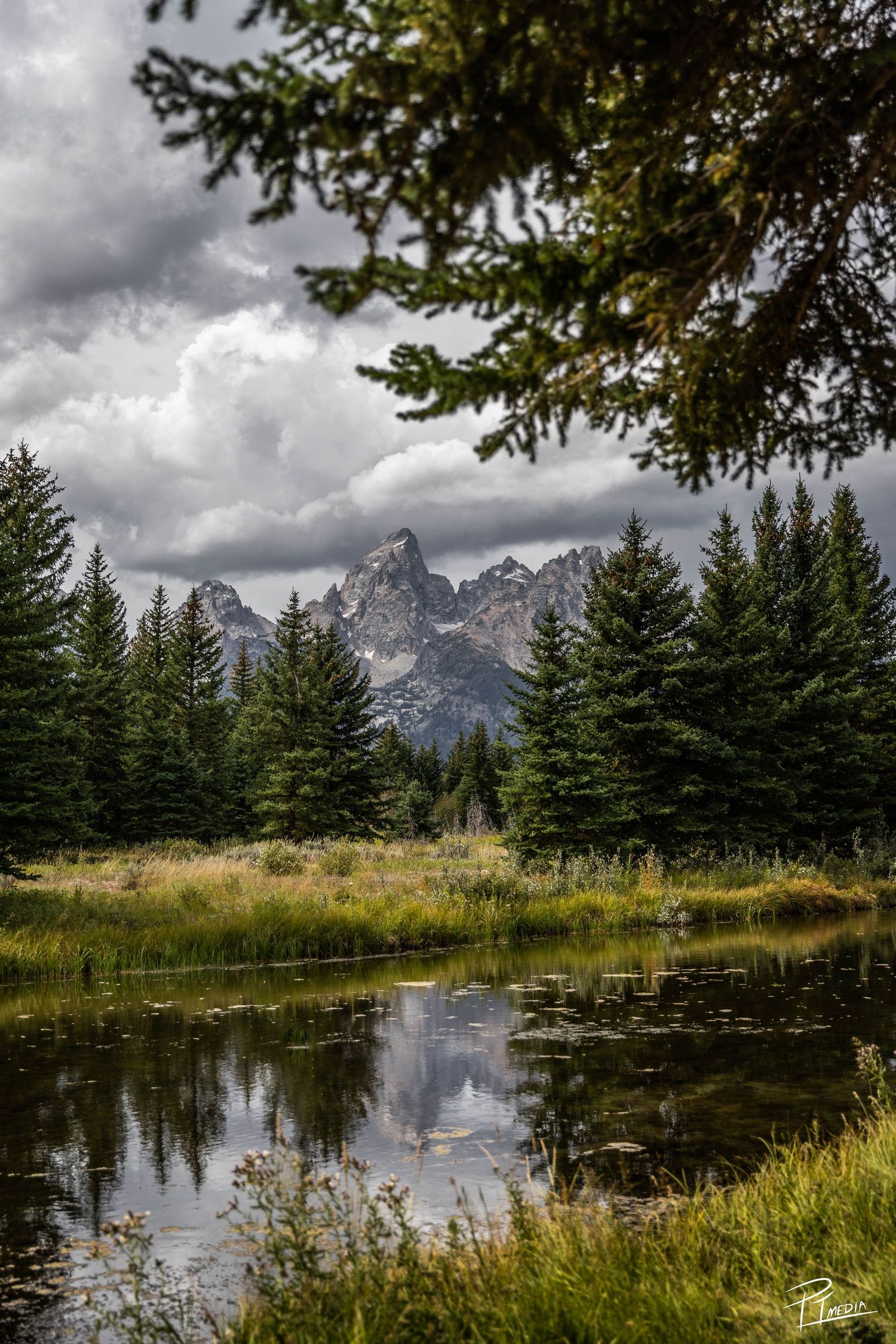 Dramatic mountain peak rises behind evergreen trees and reflecting pond under moody cloudy skies in Grand Teton National Park.
