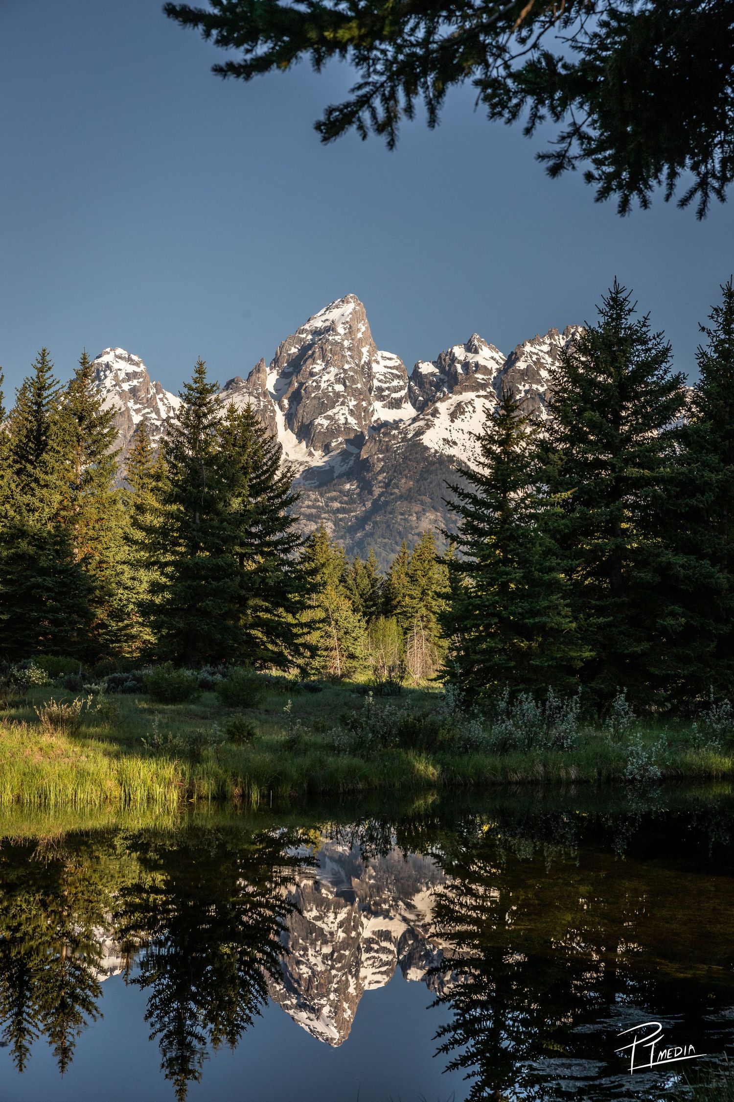 Majestic snow-capped Teton mountains reflect in calm lake waters at sunrise, framed by evergreen trees in Grand Teton National Park.