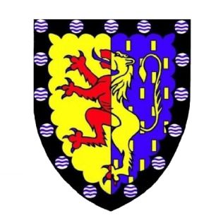 Brixham RFC Logo. A medieval heraldic shield featuring a red lion on yellow and blue quarters with black border and purple roundels.
