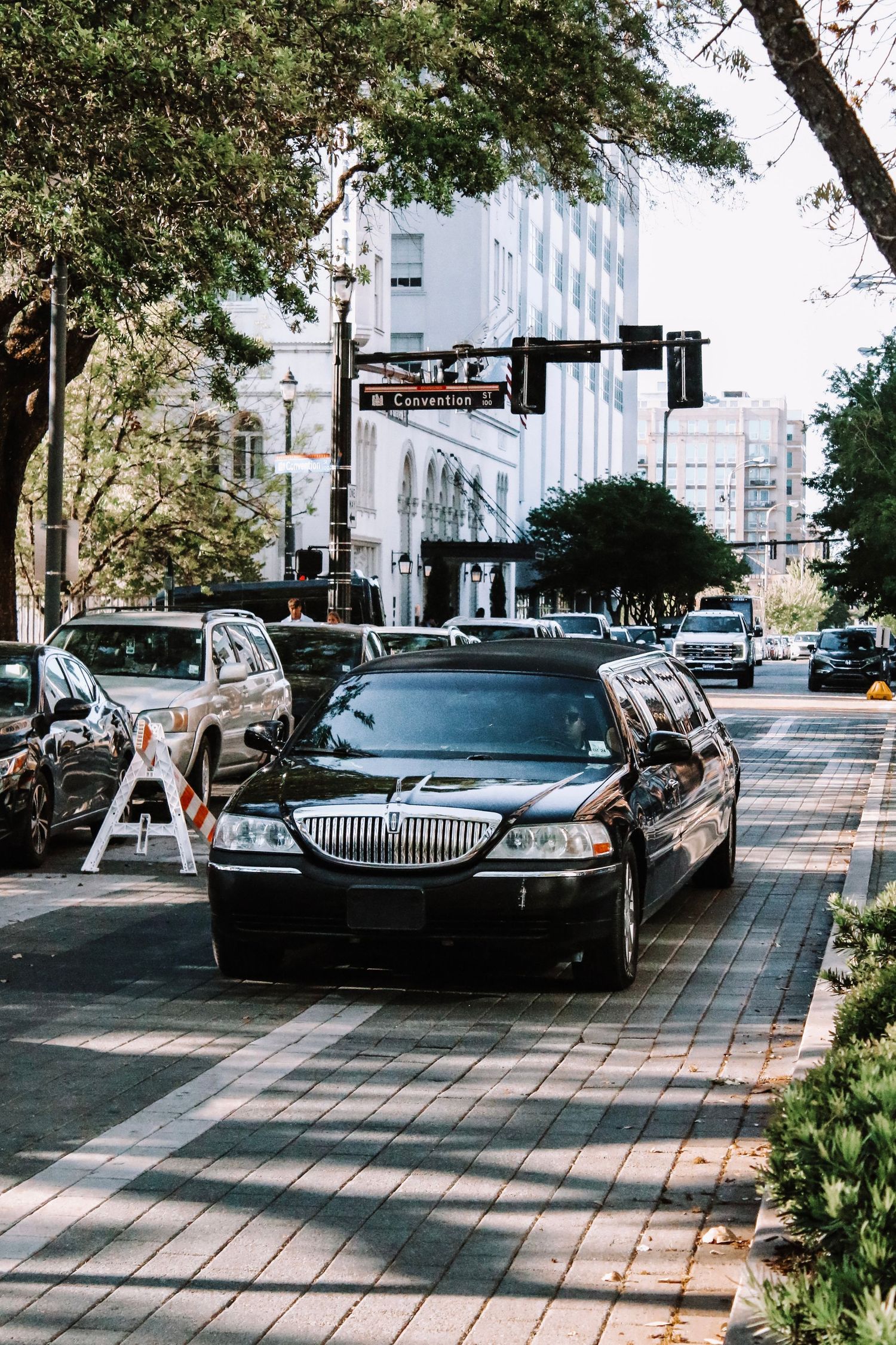 Row of black luxury limousines parked along tree-lined urban street.