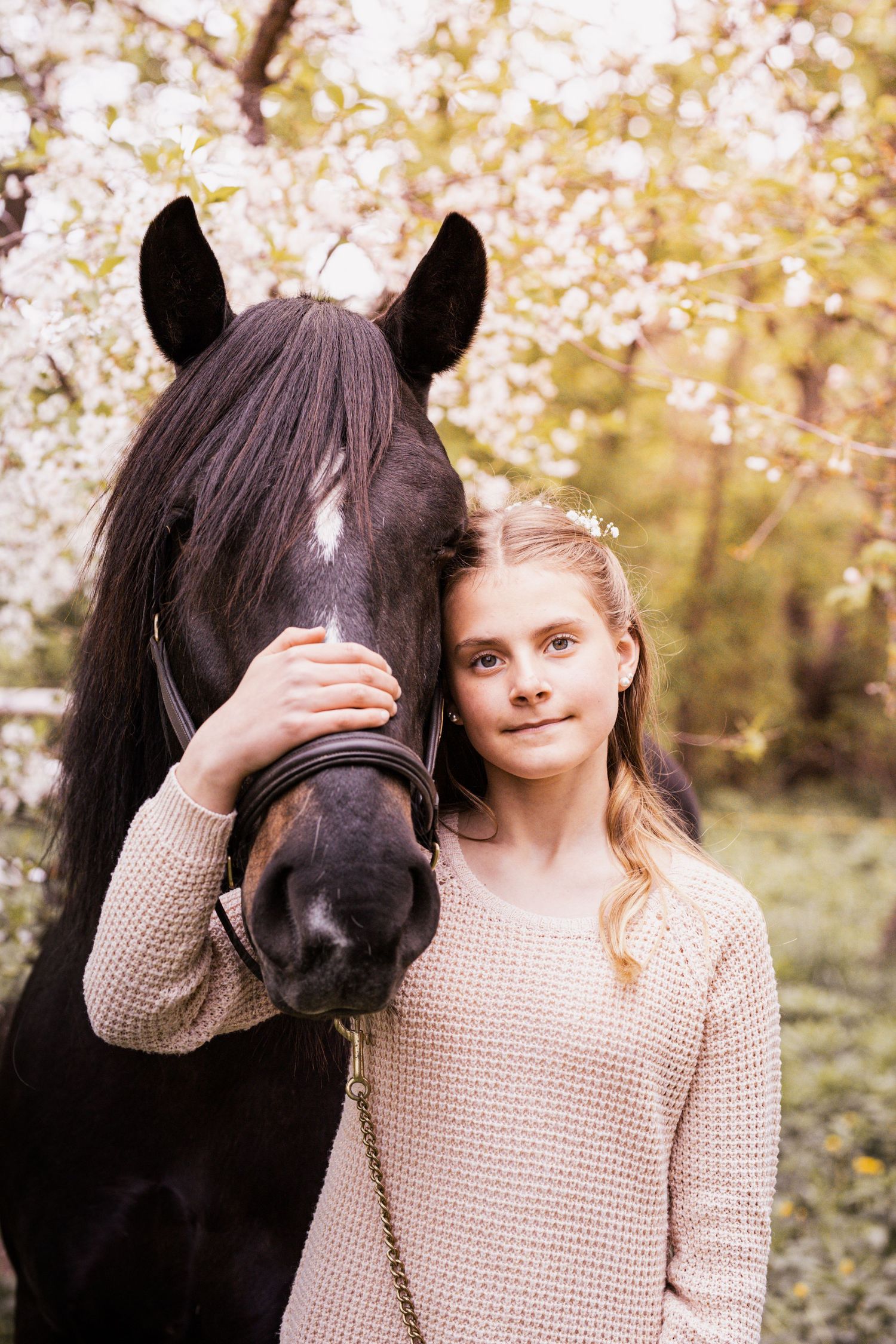 A black pony and someone in a beige sweater pose together under blooming cherry blossoms in spring.