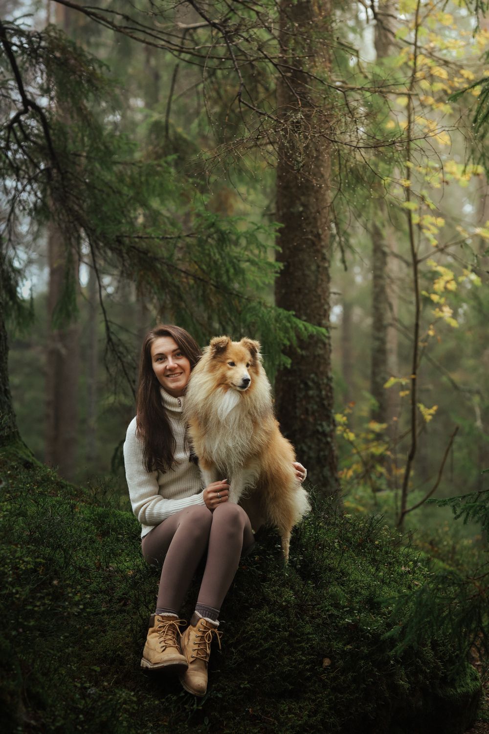 A fluffy Shetland Sheepdog sits with me on a mossy forest floor beneath evergreen trees.