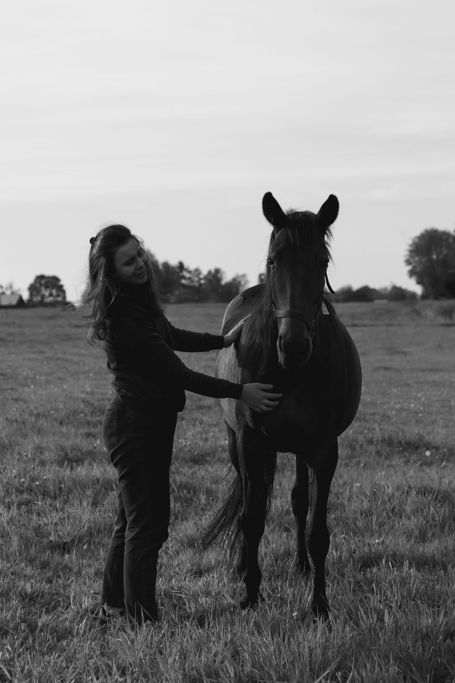 Silhouetted figures interacting with horses in a misty field.