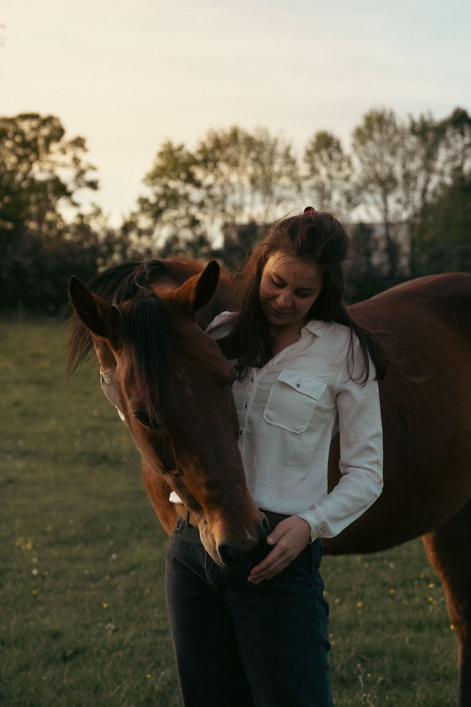Person in white jacket bonding with brown horse in golden sunset light.