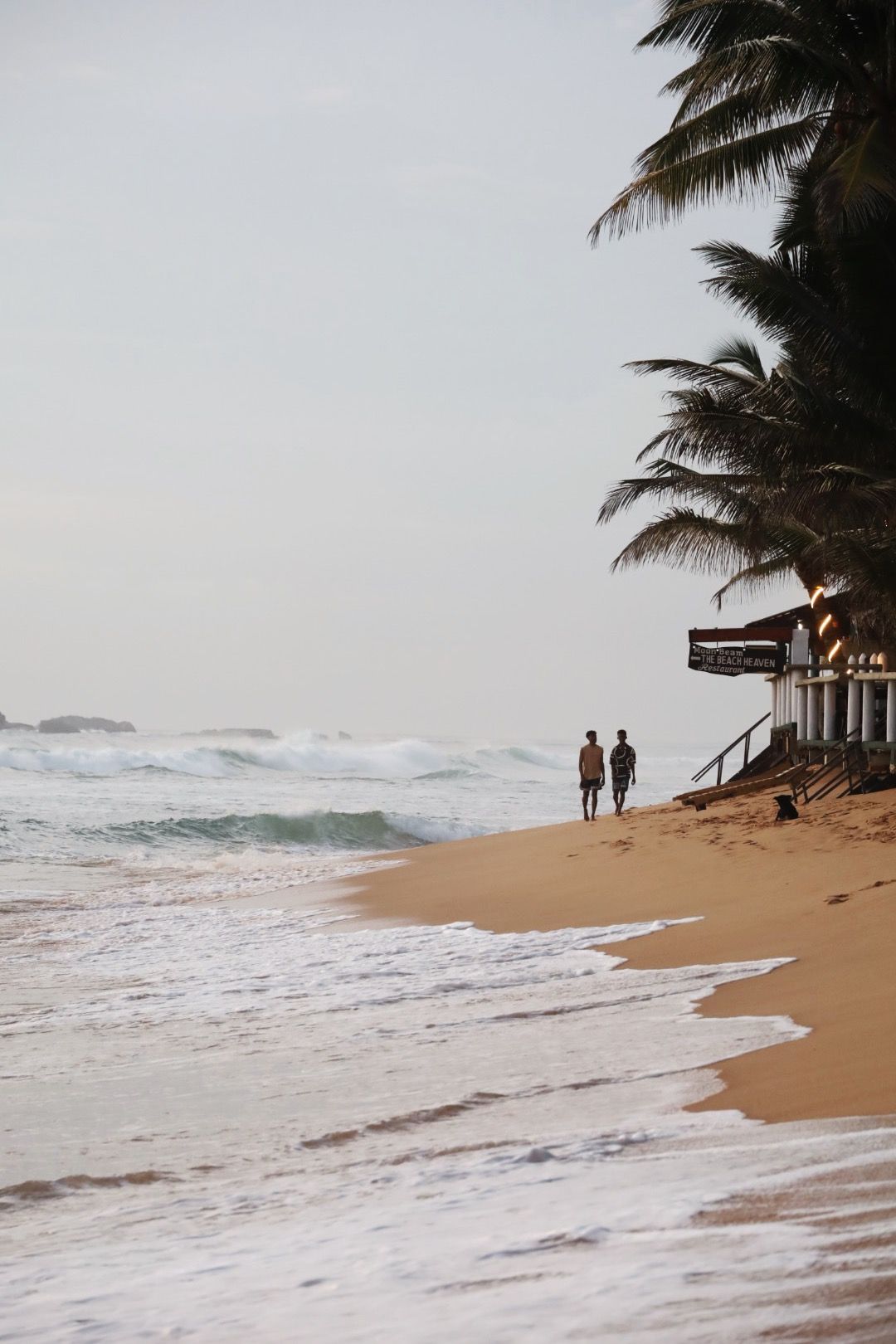 Palm trees line a stormy tropical beach with rough waves crashing on shore.