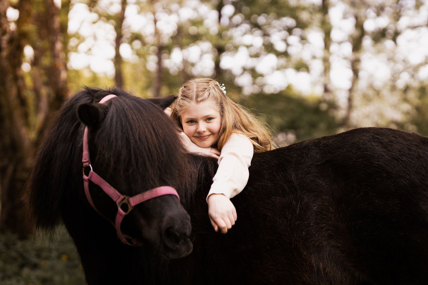 A heartwarming series of photos showing tender moments between a person and their black horse in a natural outdoor setting.