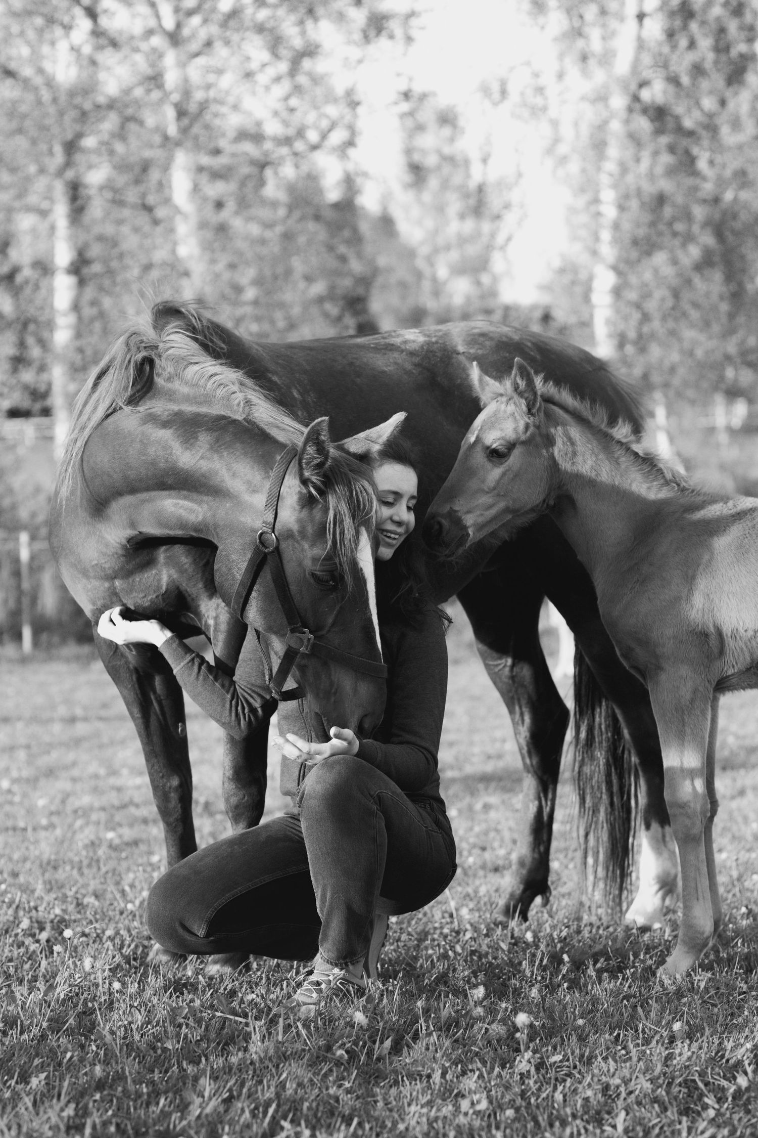 Series of black and white photos showing interaction with horses in a field.