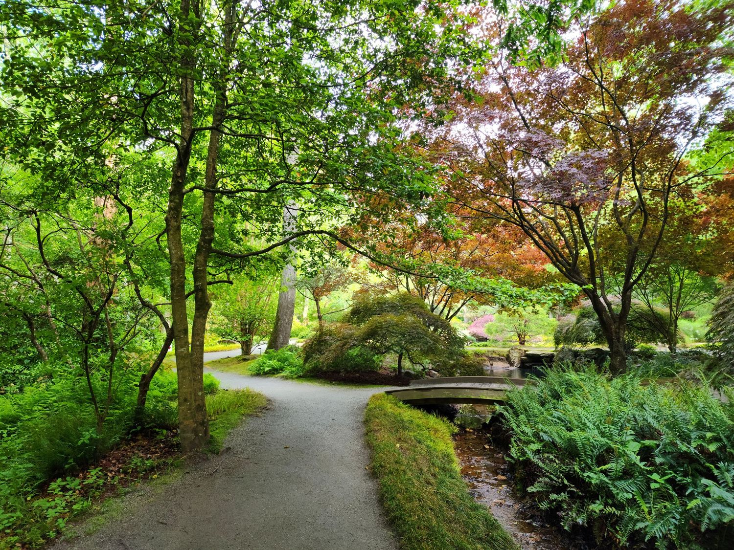 This image was taken at a garden in the state of Ga.