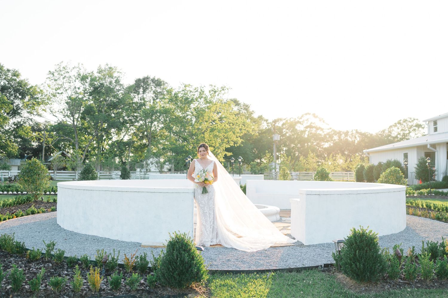 Milicevic Vineyard wedding photography Abita Springs, Louisiana