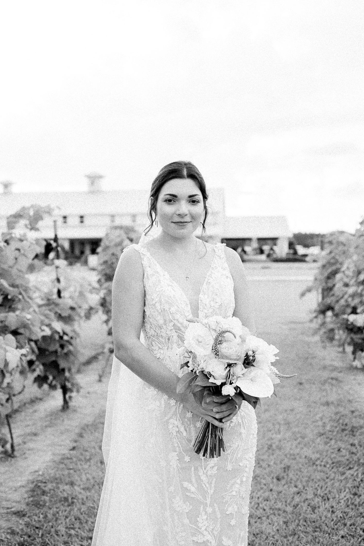 Milicevic Vineyard wedding photography Abita Springs, Louisiana