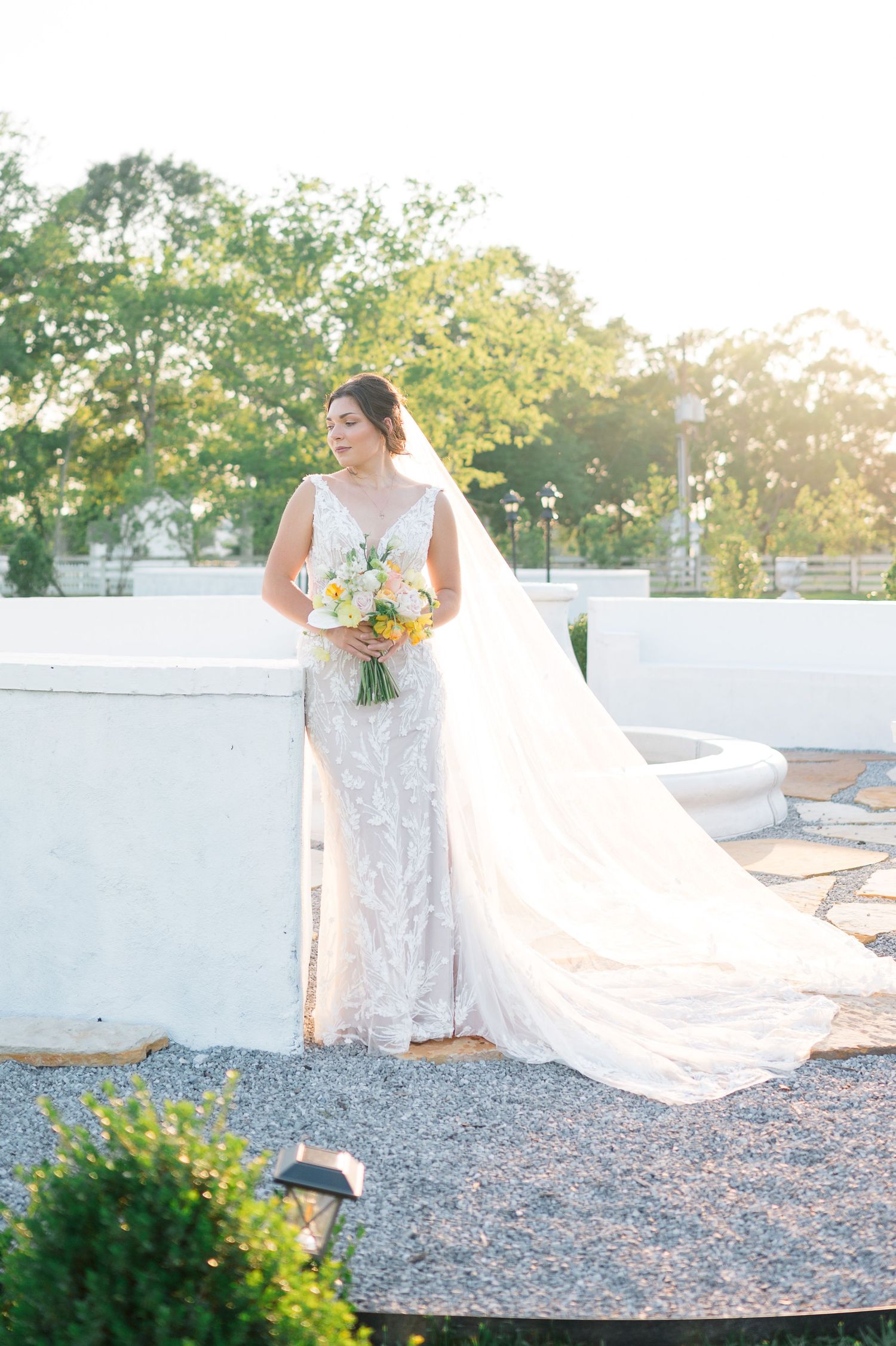 Milicevic Vineyard wedding photography Abita Springs, Louisiana