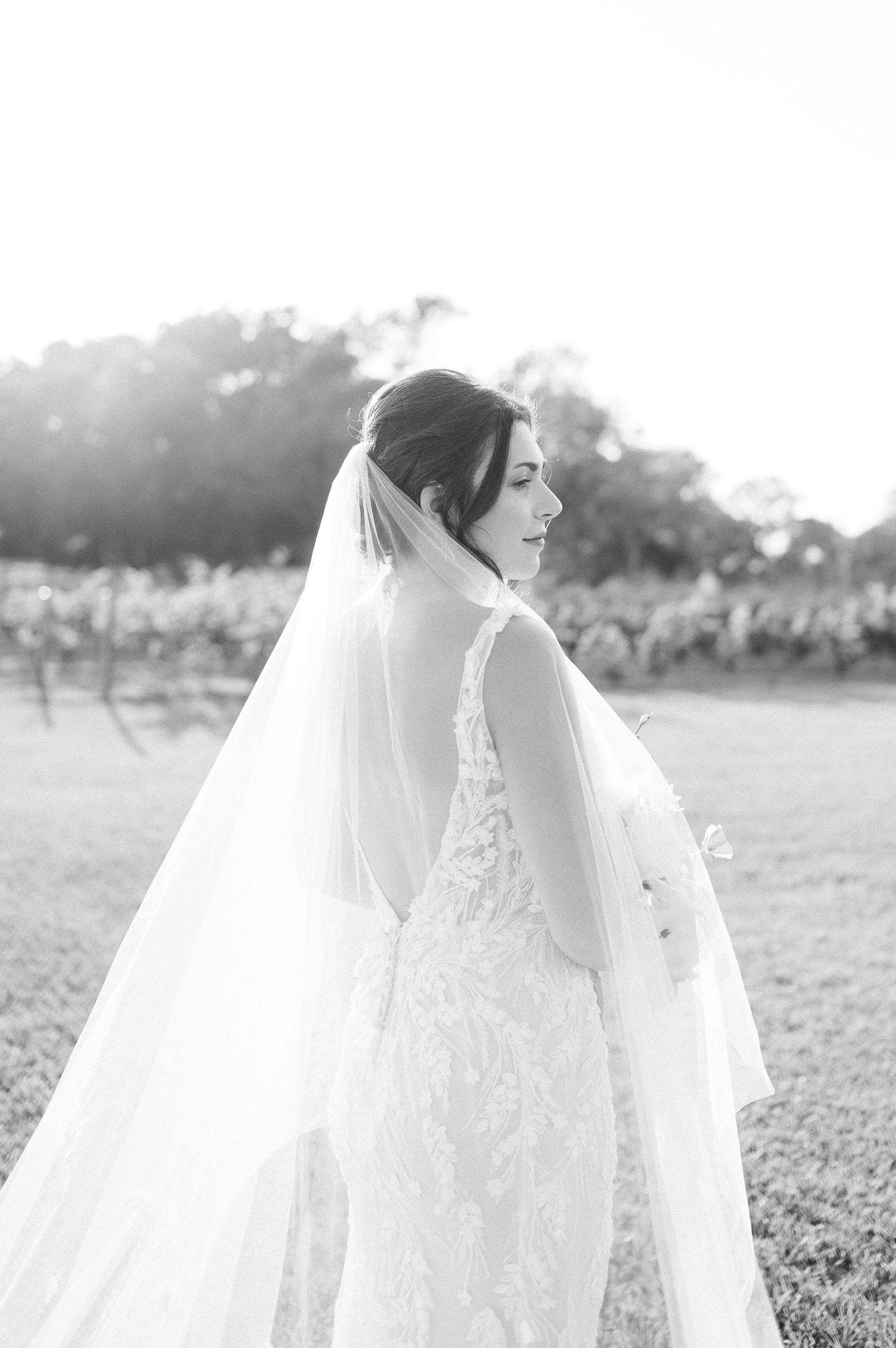 Milicevic Vineyard wedding photography Abita Springs, Louisiana