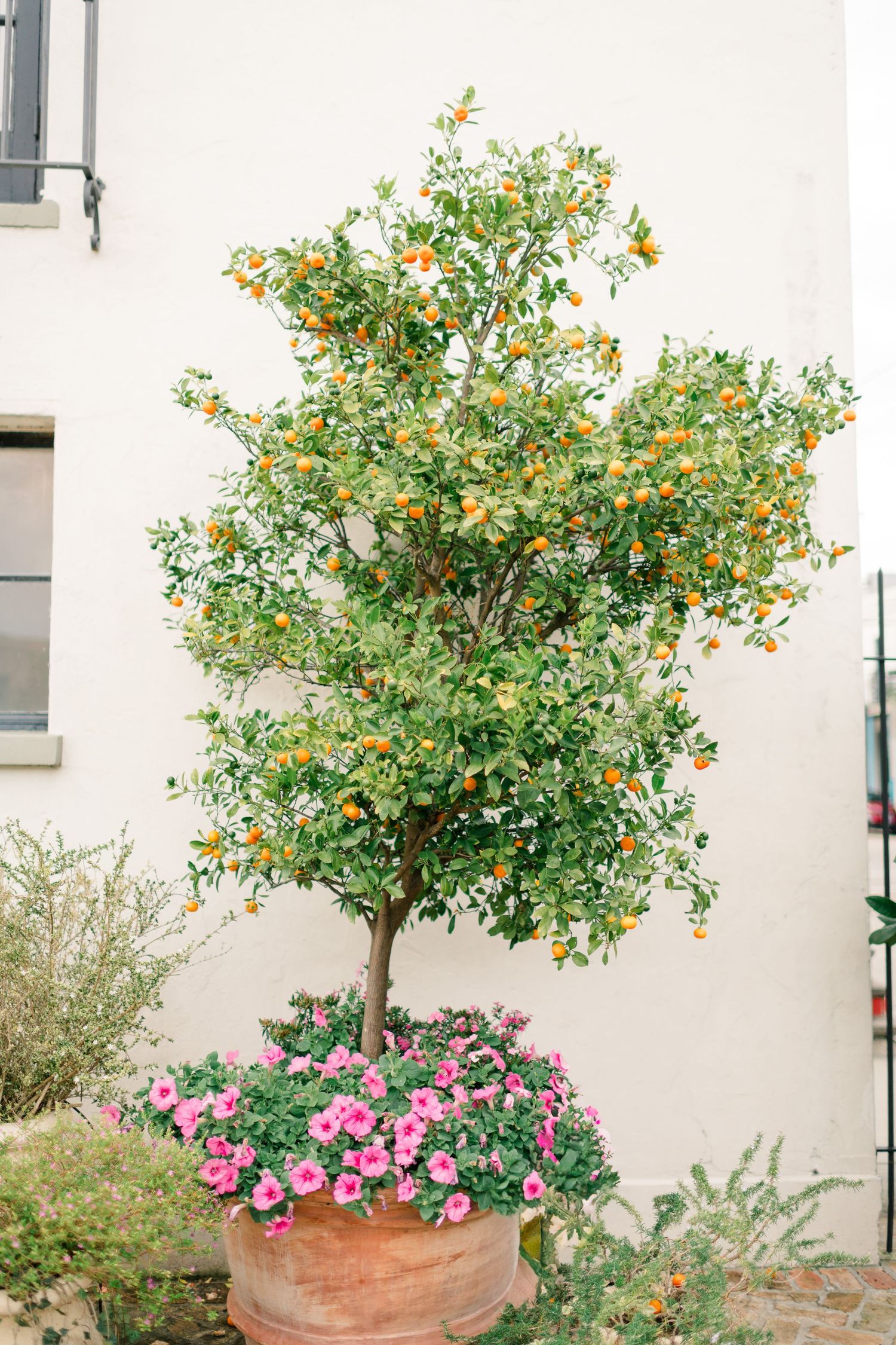 Baton Rouge, Louisiana Wedding Photographer. Il Mercato New Orleans
