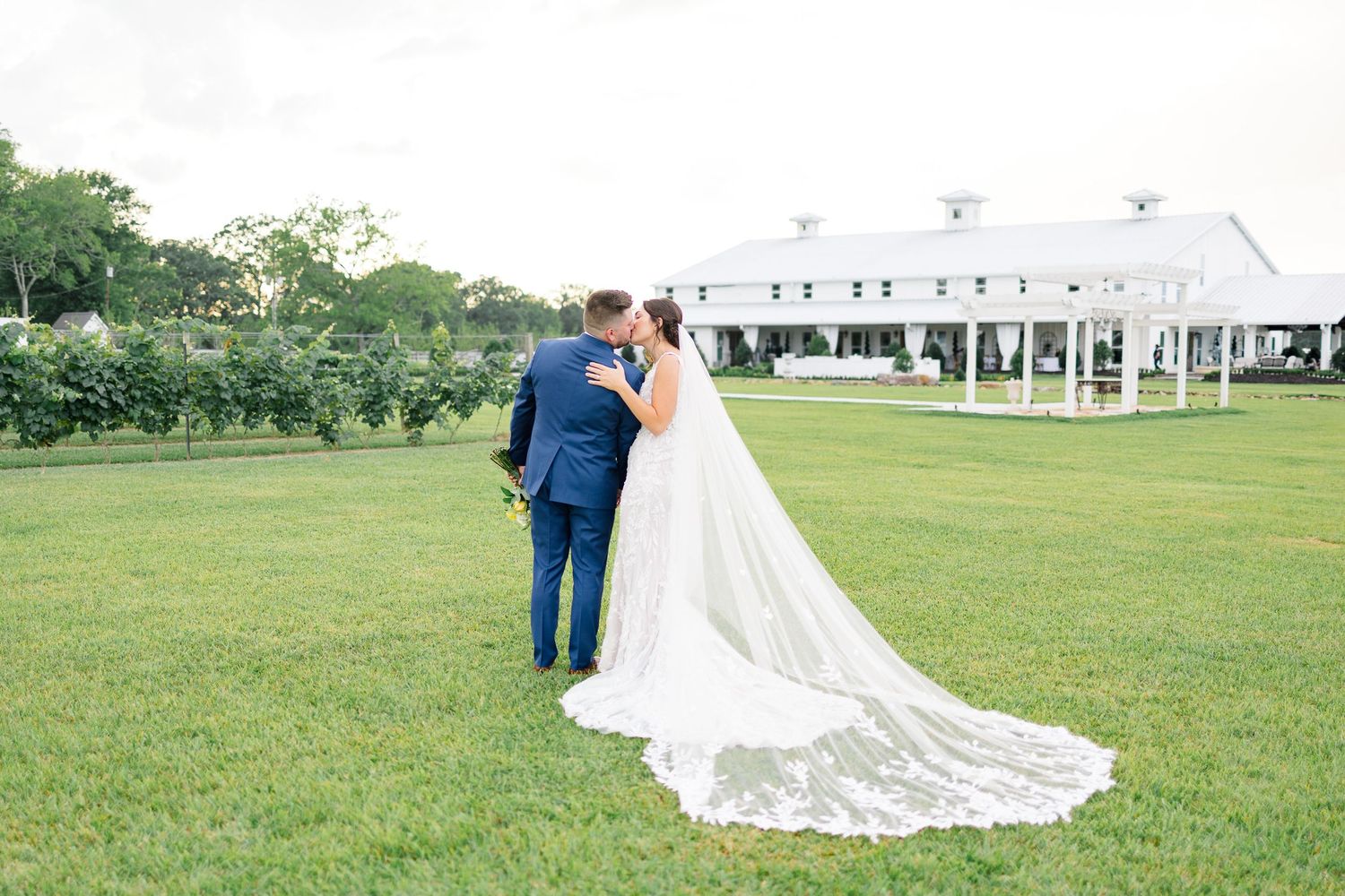 Milicevic Vineyard wedding photography Abita Springs, Louisiana