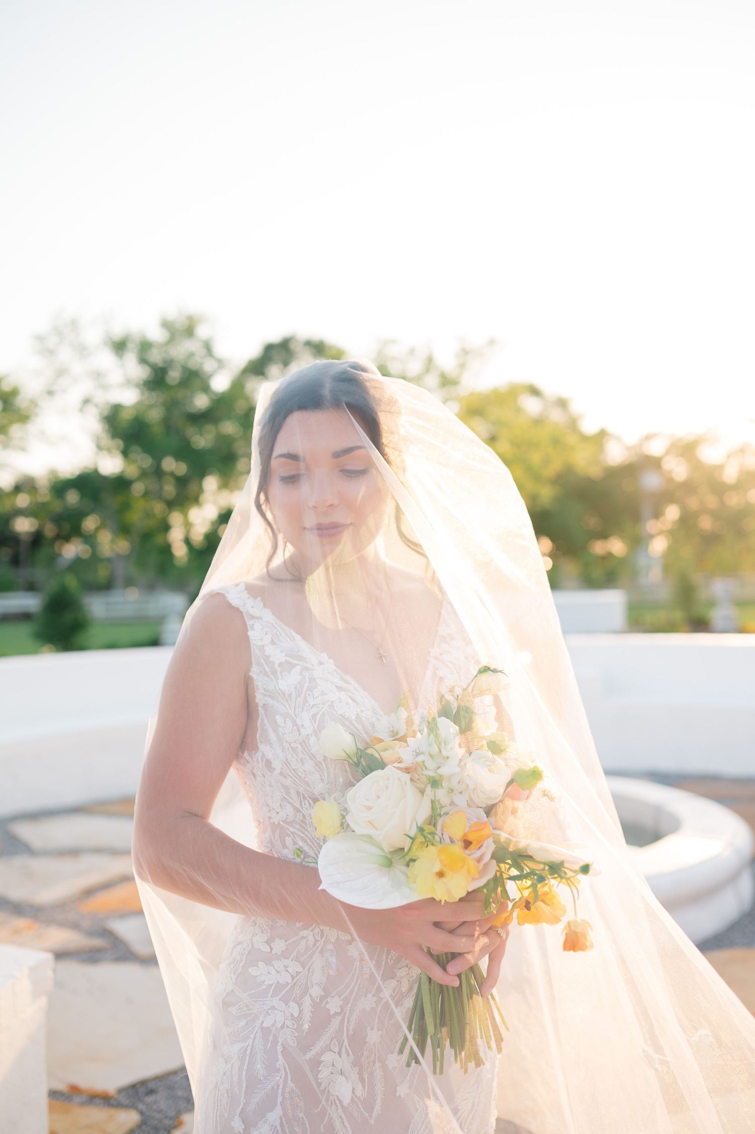Milicevic Vineyard wedding photography Abita Springs, Louisiana