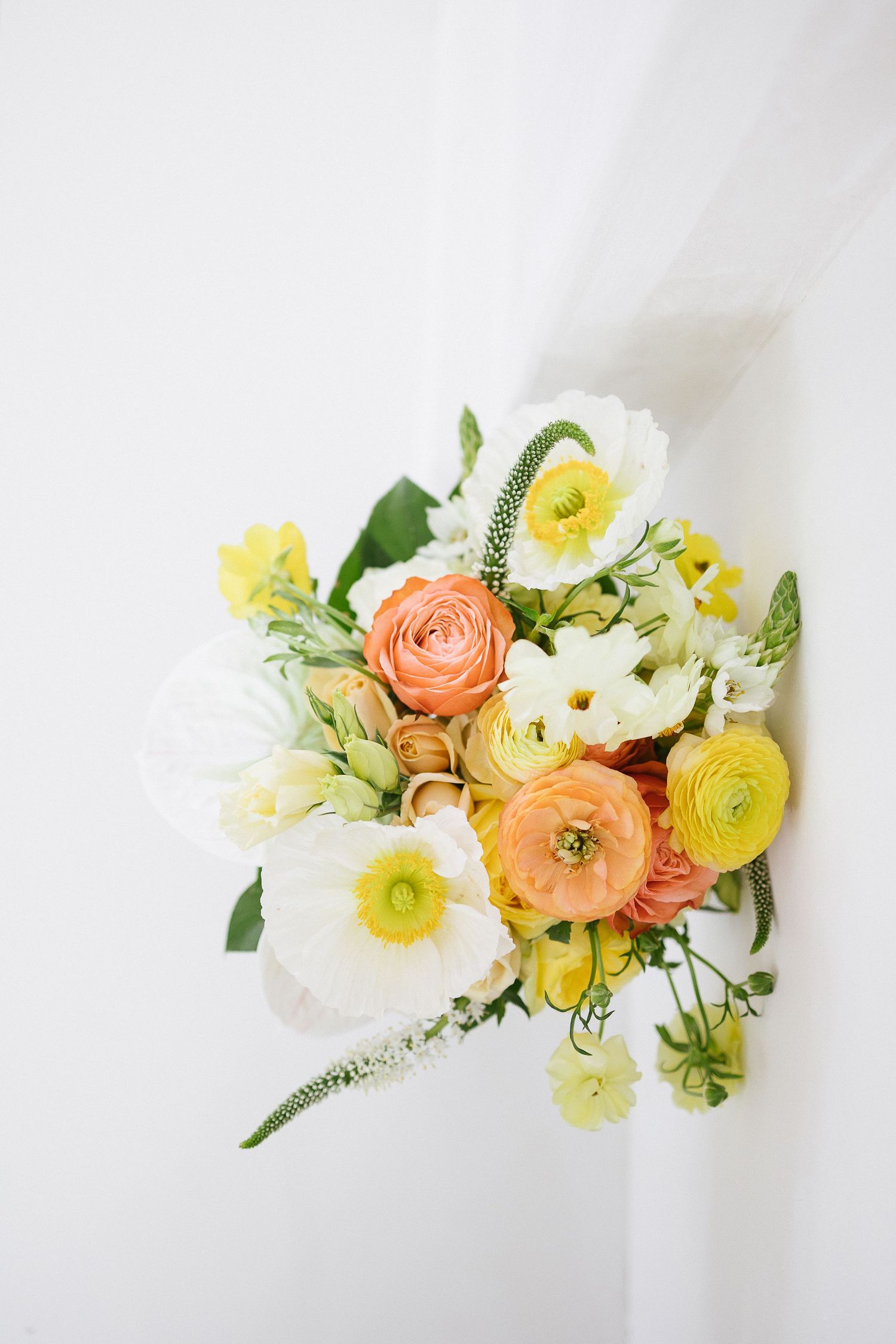 Milicevic Vineyard wedding photography Abita Springs, Louisiana