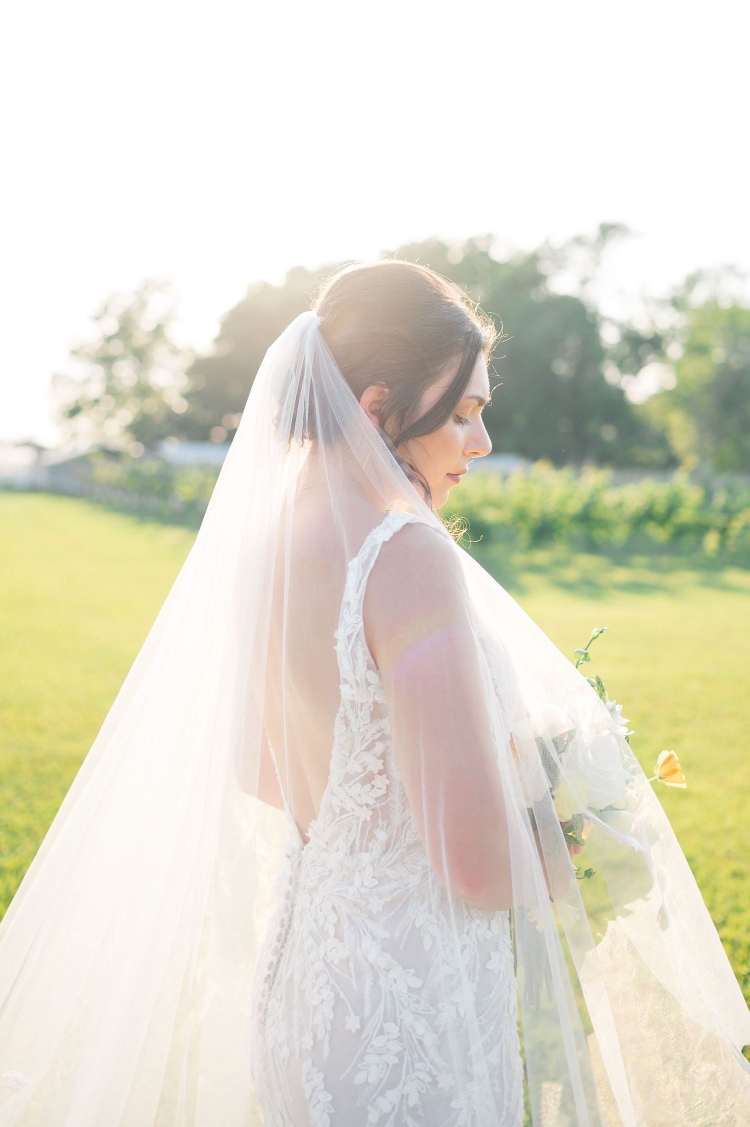 Milicevic Vineyard wedding photography Abita Springs, Louisiana