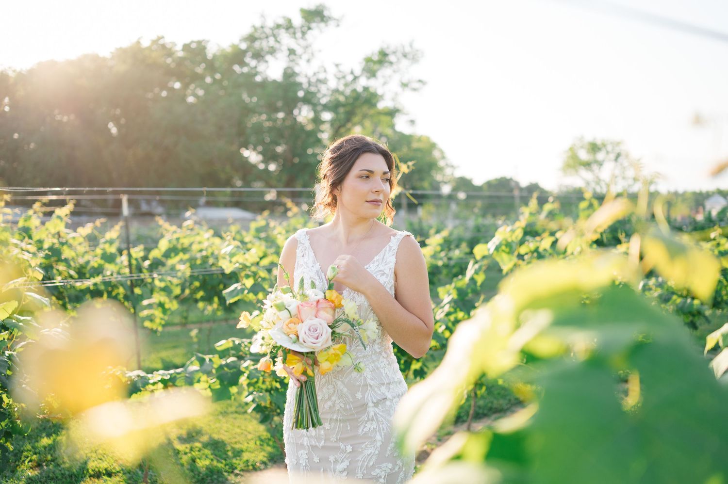 Milicevic Vineyard wedding photography Abita Springs, Louisiana