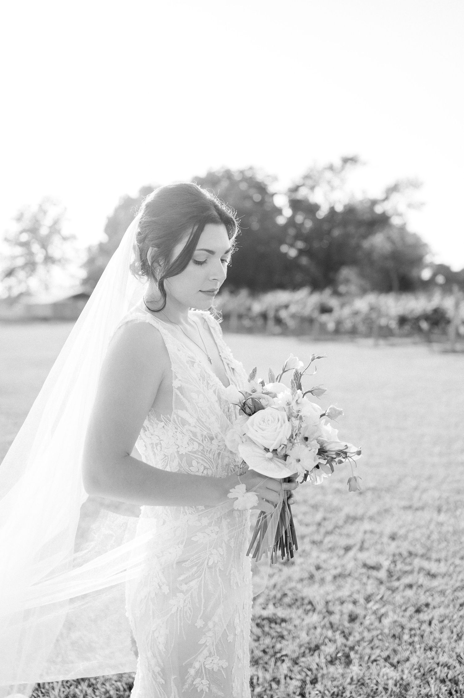 Milicevic Vineyard Wedding Abita Springs, Louisiana. Bridals and Weddings