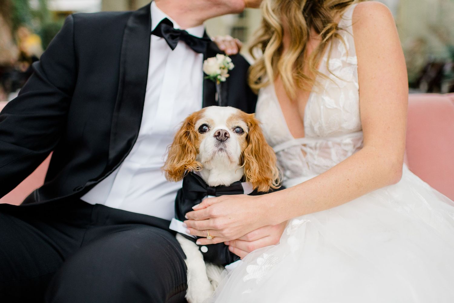 Baton Rouge, Louisiana Wedding Photographer. Race & Religious New Orleans