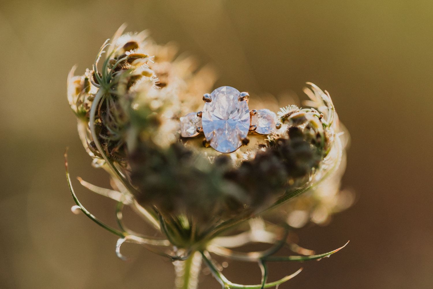 Close-up of oval blue sapphire engagement ring with diamond accents resting on dried wildflower.