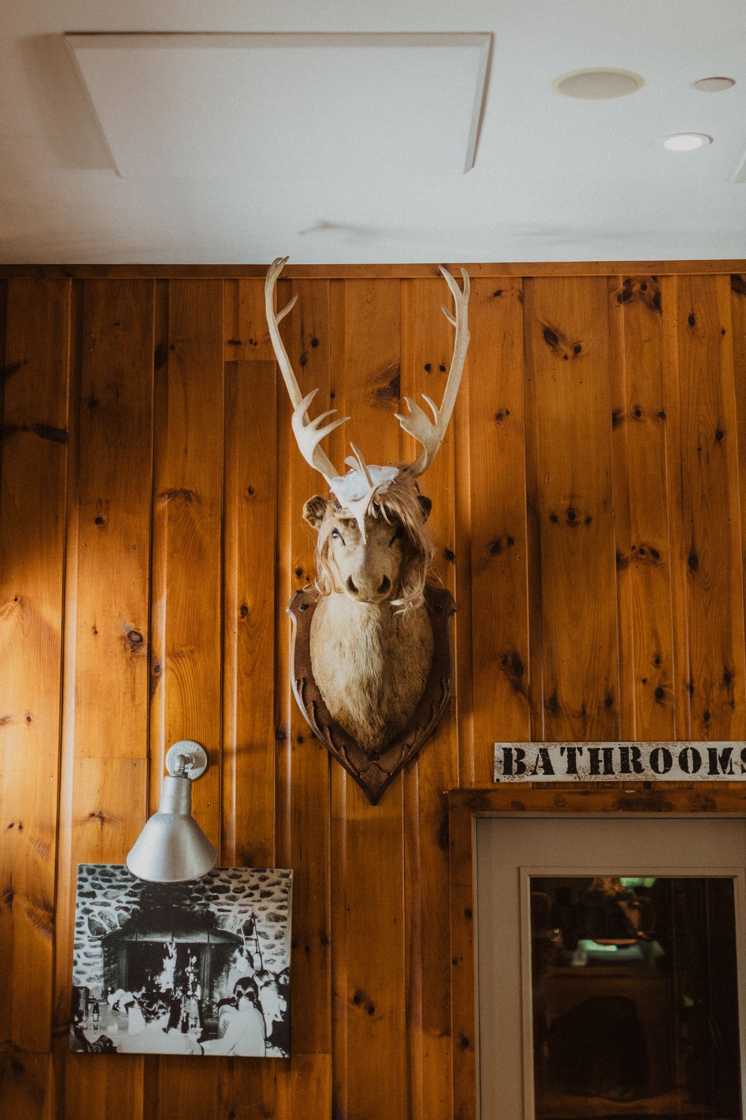 Taxidermy deer head with large antlers mounted on rustic wood-paneled wall above bathroom sign in lodge.