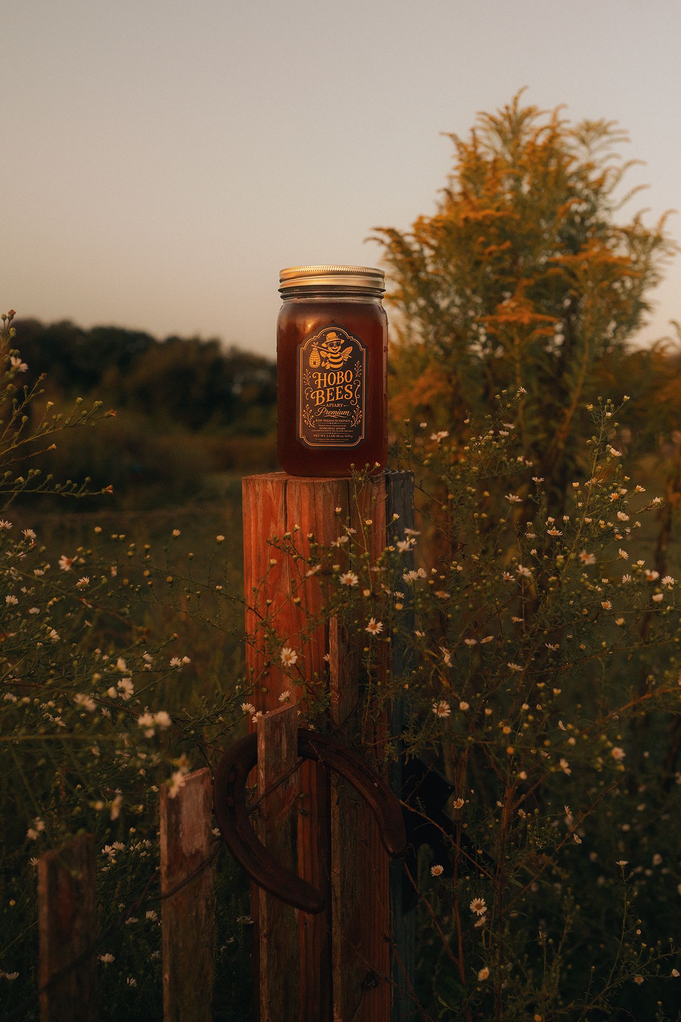 A jar of honey sits on a rustic wooden fence post surrounded by wildflowers at golden hour.
