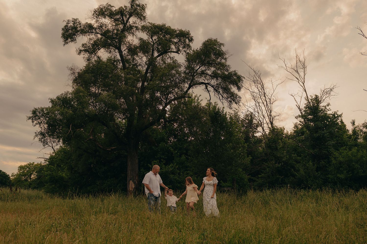 Family of four holding hands walking through a green meadow at sunset with large trees in the background.