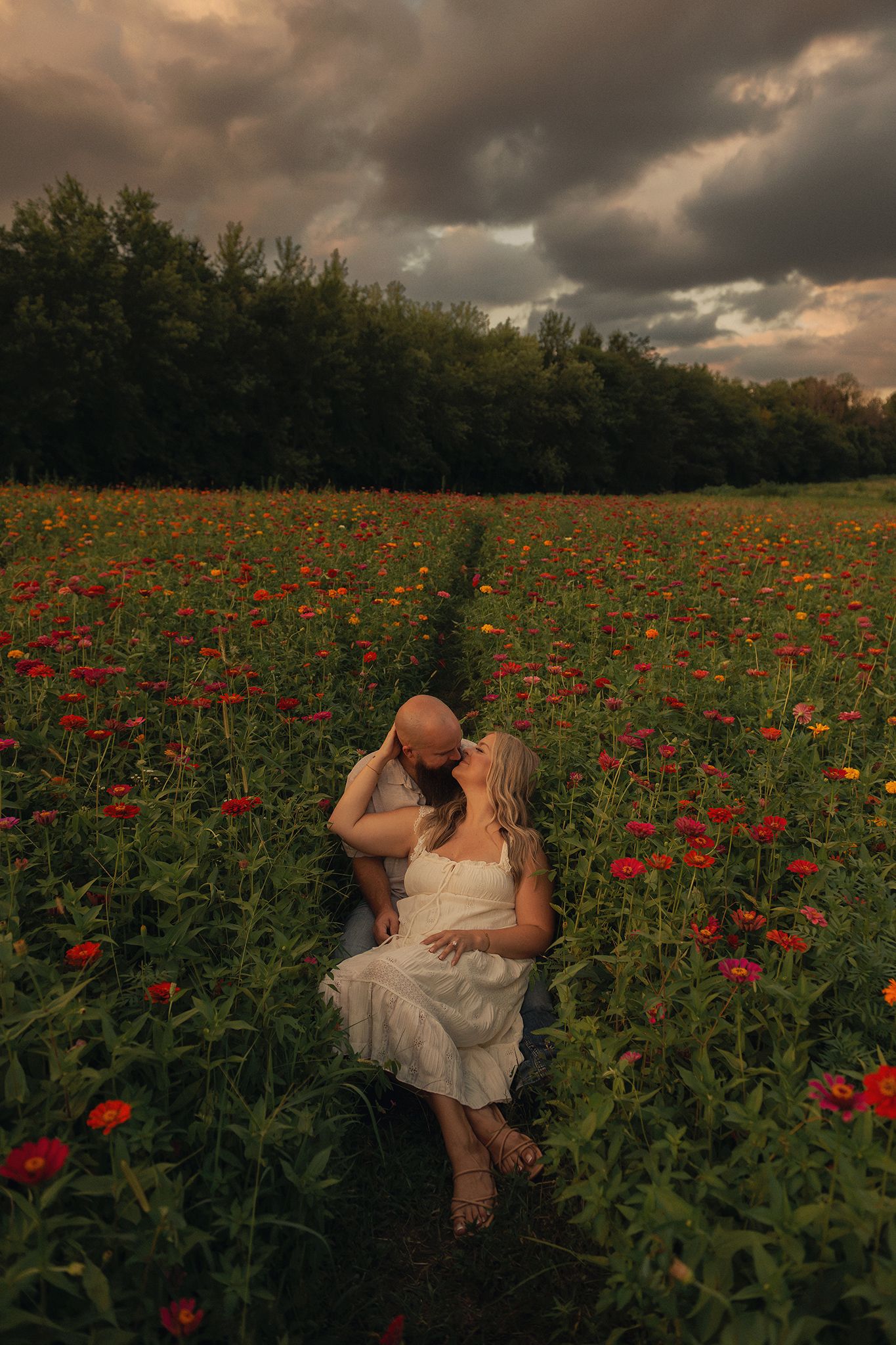 Couple sharing a romantic kiss in a vibrant red flower field under dramatic storm clouds at golden hour.