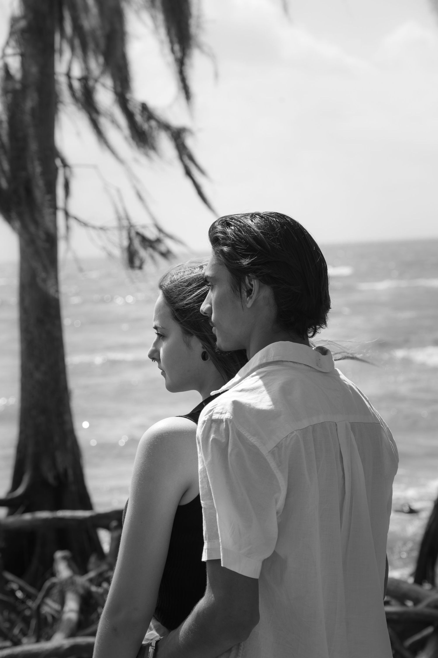 Black and white photo of people sitting together by coastal pine trees.