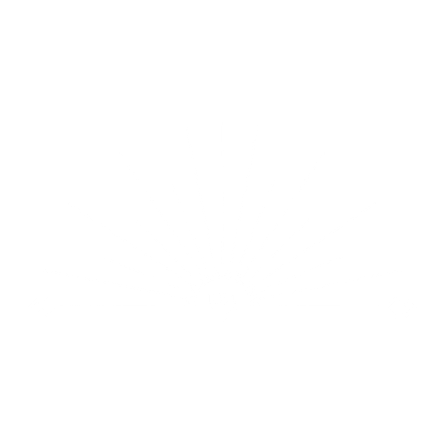 A minimalist white square image with a clean, blank background and no visible content or design elements.