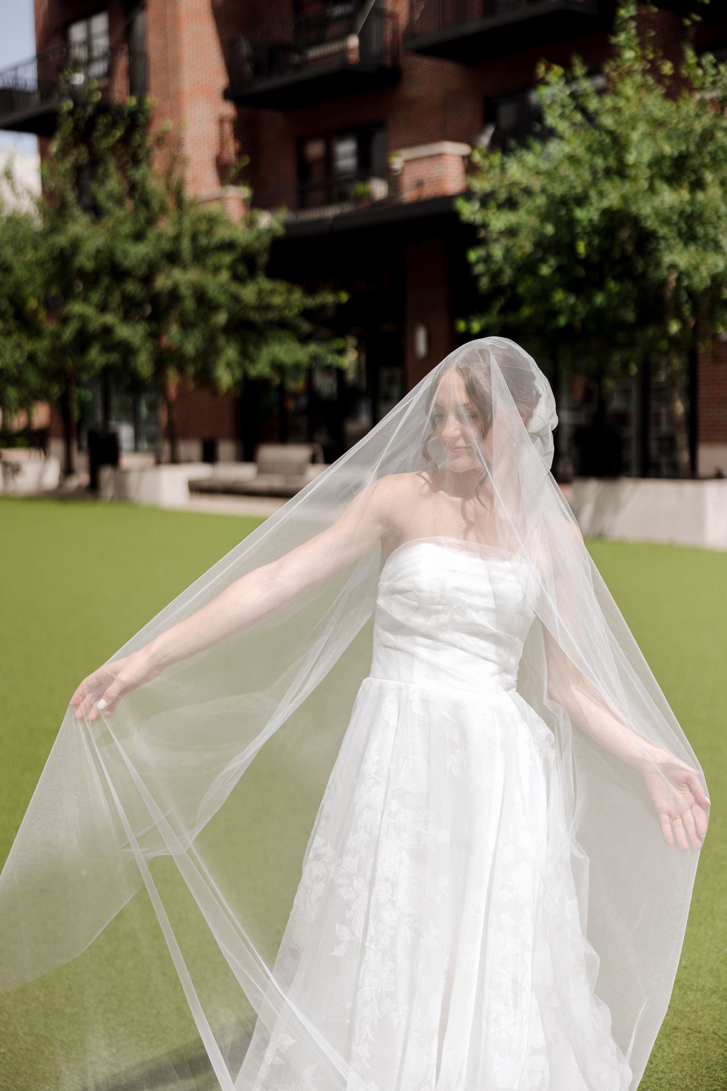Bride in strapless white lace gown spreading her veil wide open on green lawn at outdoor wedding venue.