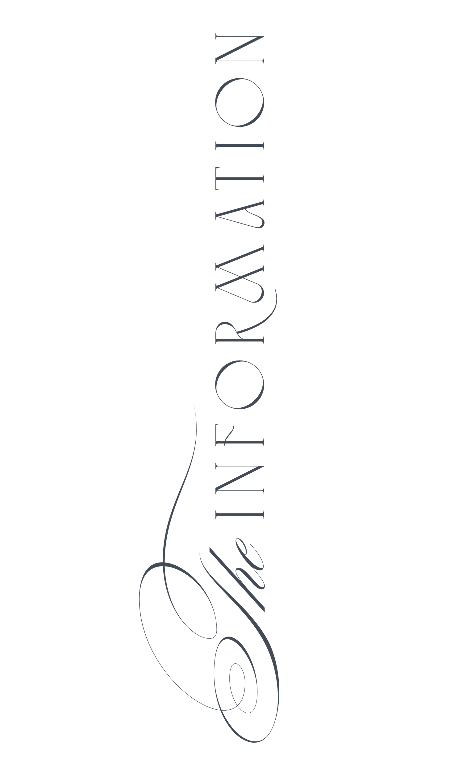 Elegant vertical script typography reading The Information in dark navy calligraphy style.