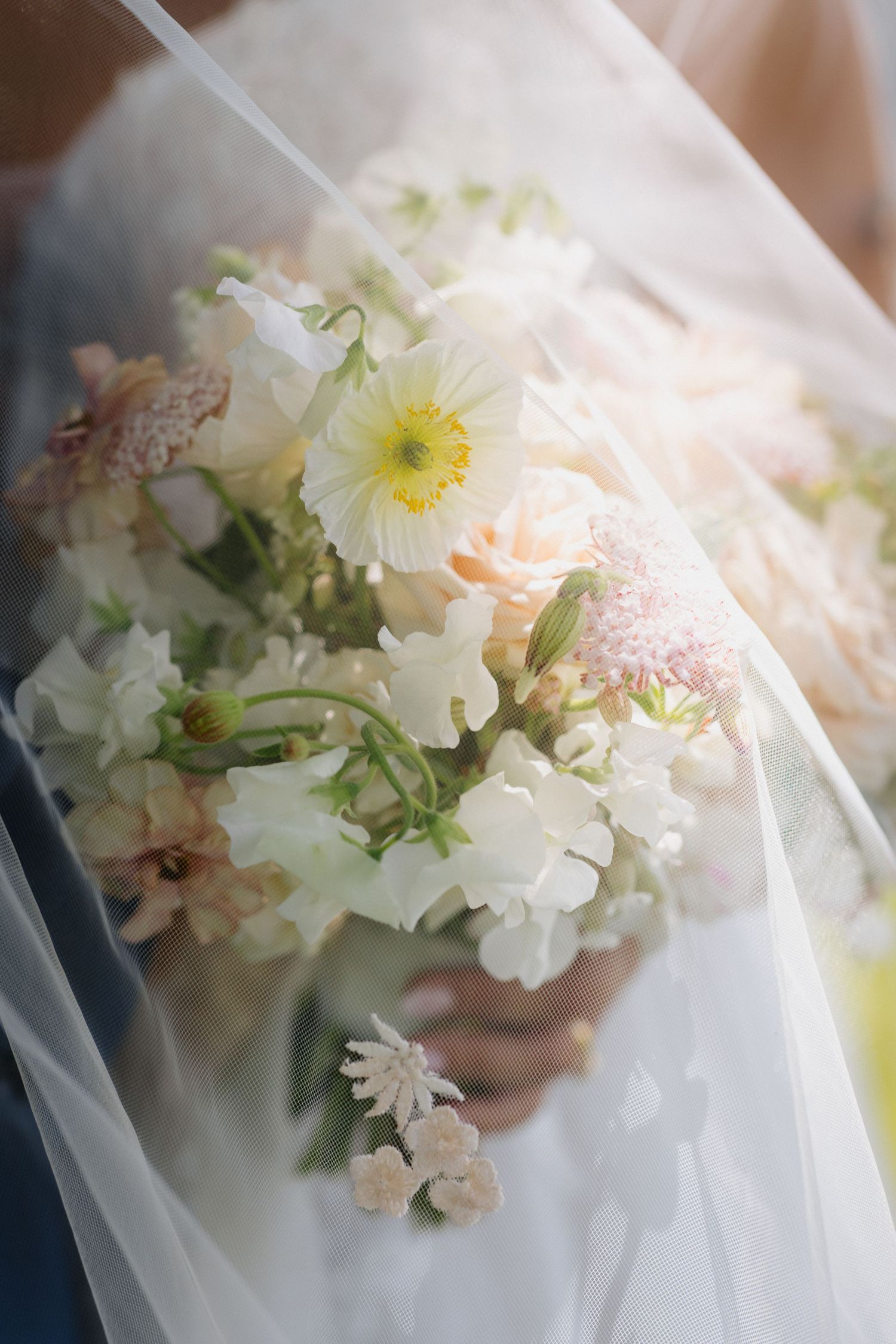 Bride holding a soft bridal bouquet of white and blush flowers, draped with a sheer veil in natural light.