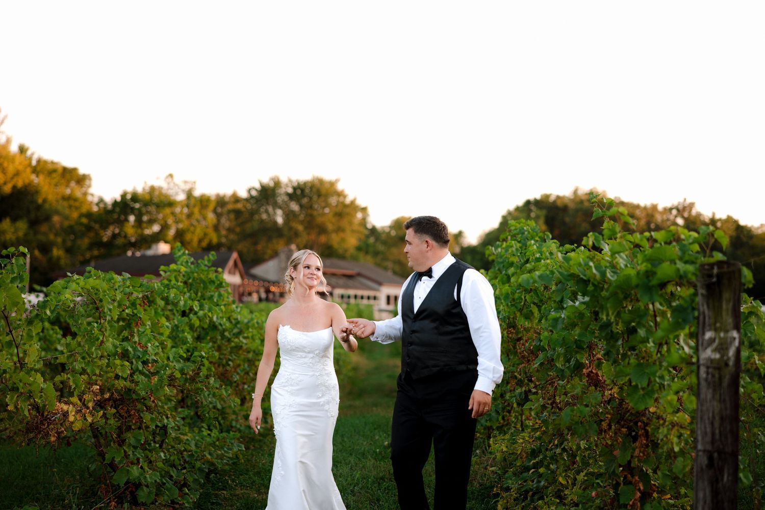 Bride and groom holding hands walking through lush vineyard rows at golden hour during outdoor wedding celebration.