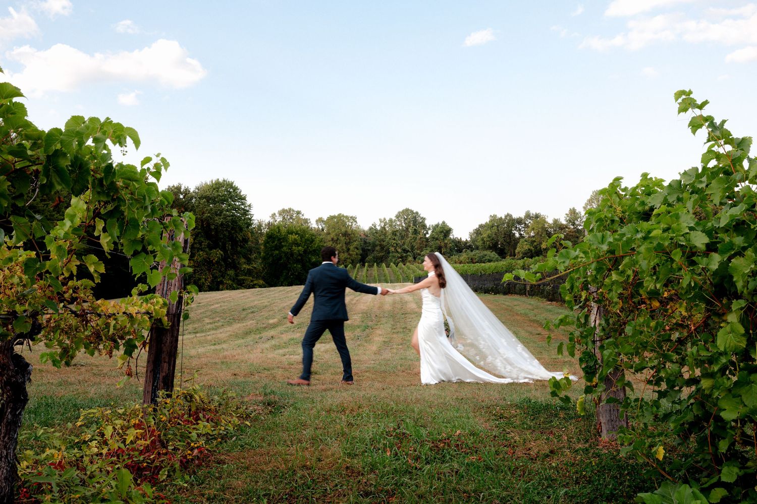 Bride and groom walk hand-in-hand through lush vineyard rows on their wedding day, veil flowing in the breeze.