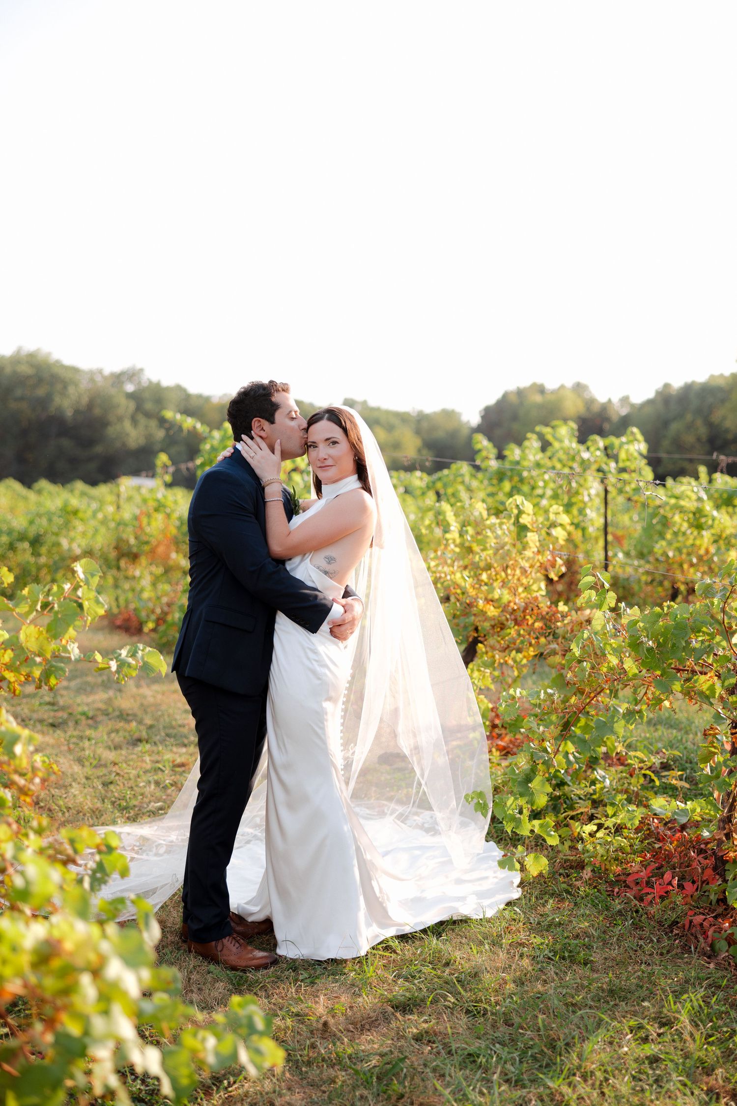 Bride and groom embracing romantically among lush vineyard rows, groom kissing bride's cheek at sunset.