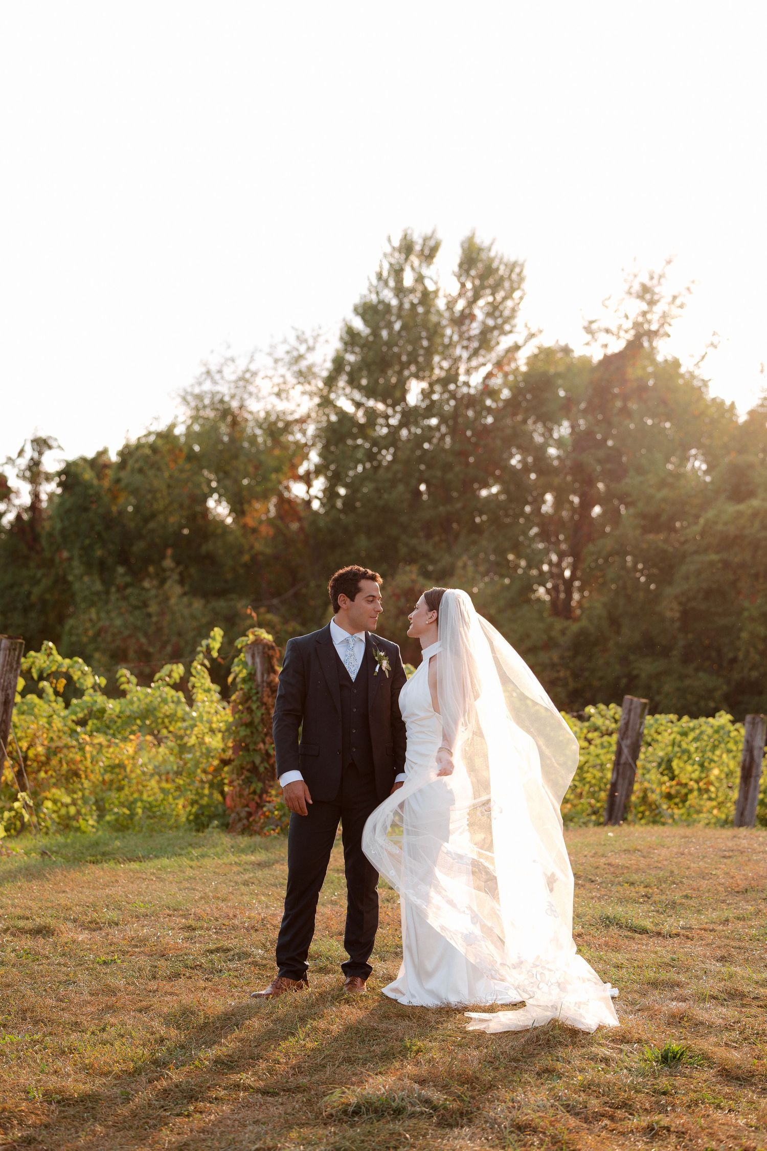 Bride and groom share a romantic moment in a vineyard at golden hour, her veil flowing in the breeze.