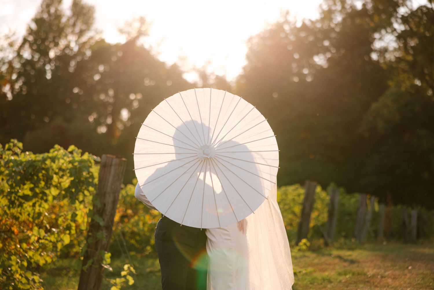 Couple kissing behind a white parasol umbrella at a vineyard wedding during golden hour sunset.
