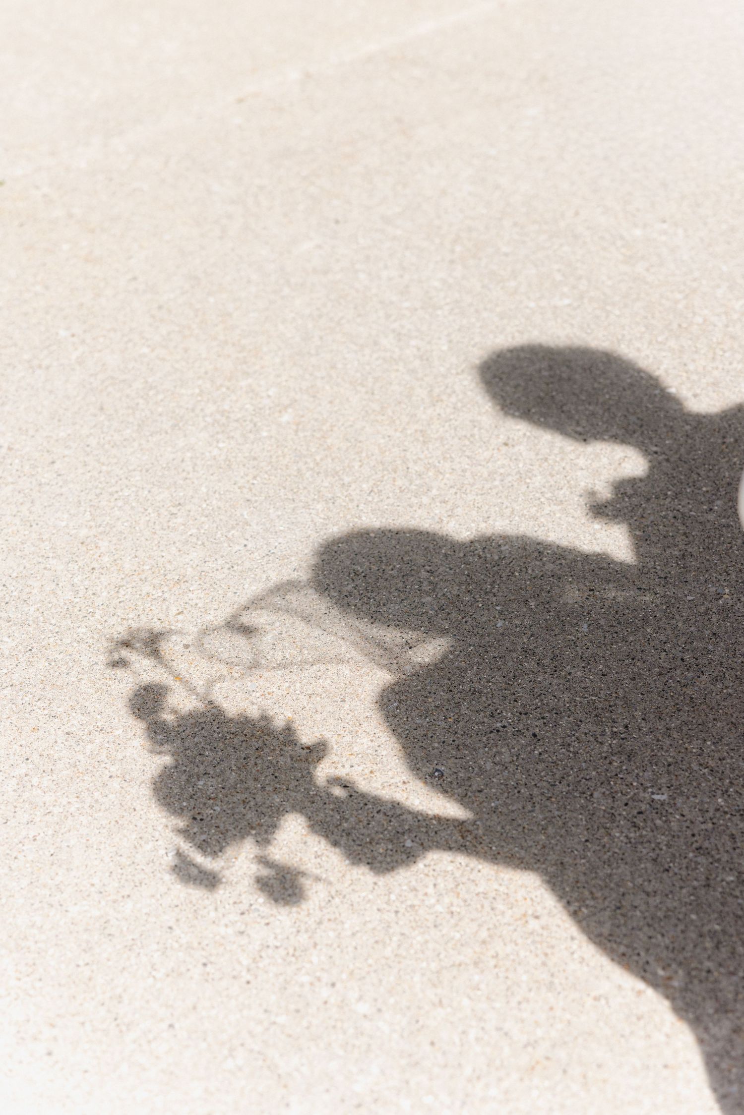 Shadow of a person cast on sandy beach ground with small shells visible in the sunlight.