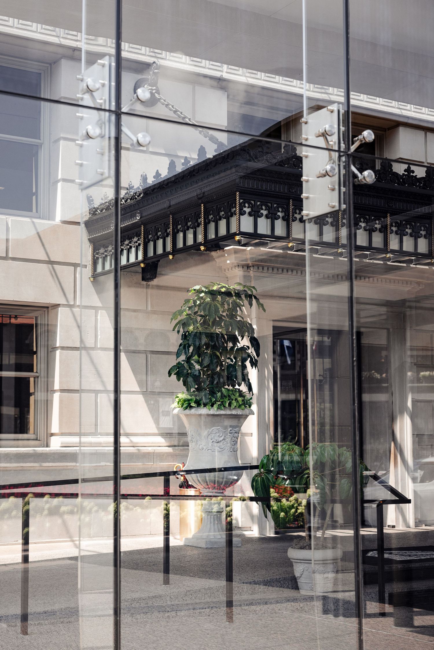 Reflection of a historic building with ornate balcony and potted plants in modern glass facade.