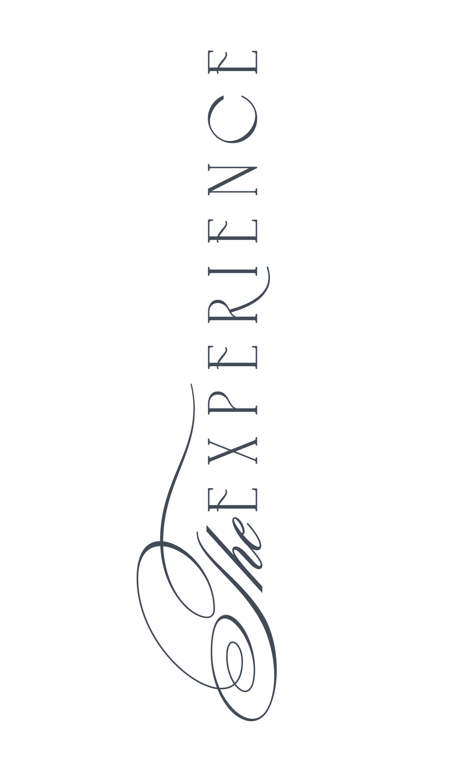 The Experience elegant vertical typography logo design in dark gray on white background.