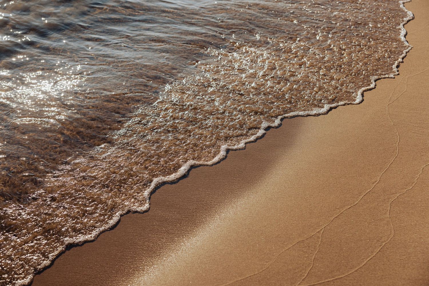 Gentle ocean waves washing over sandy beach shoreline with white sea foam and golden wet sand in sunlight.