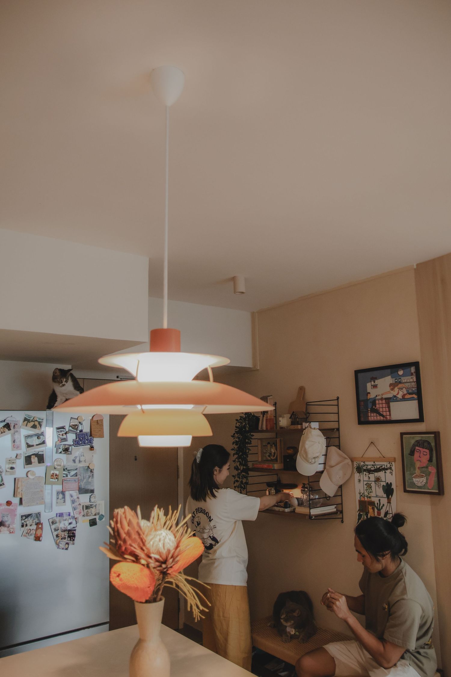 In-home pet photography in Singapore with jingwensathome