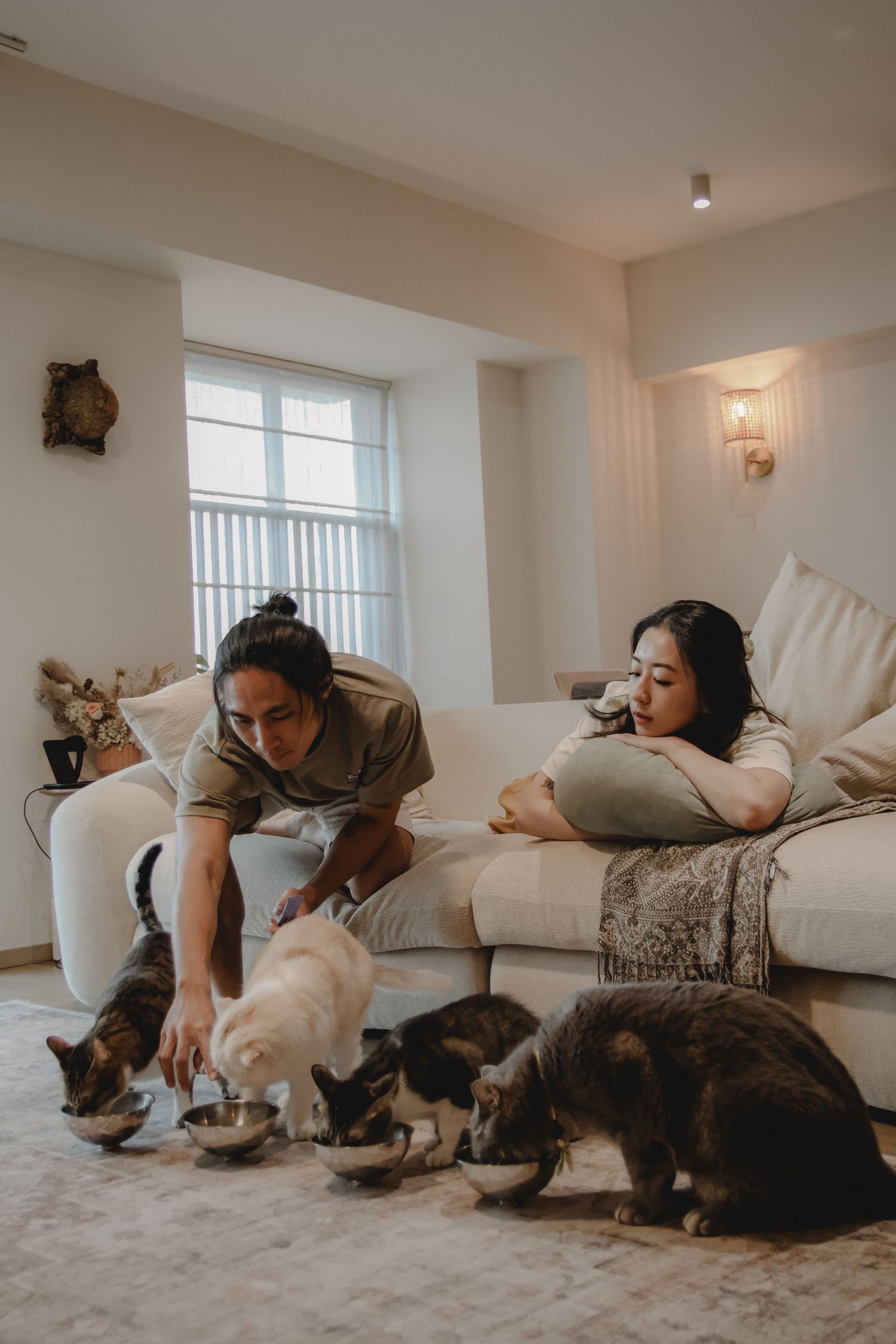 In-home pet photography in Singapore with jingwensathome
