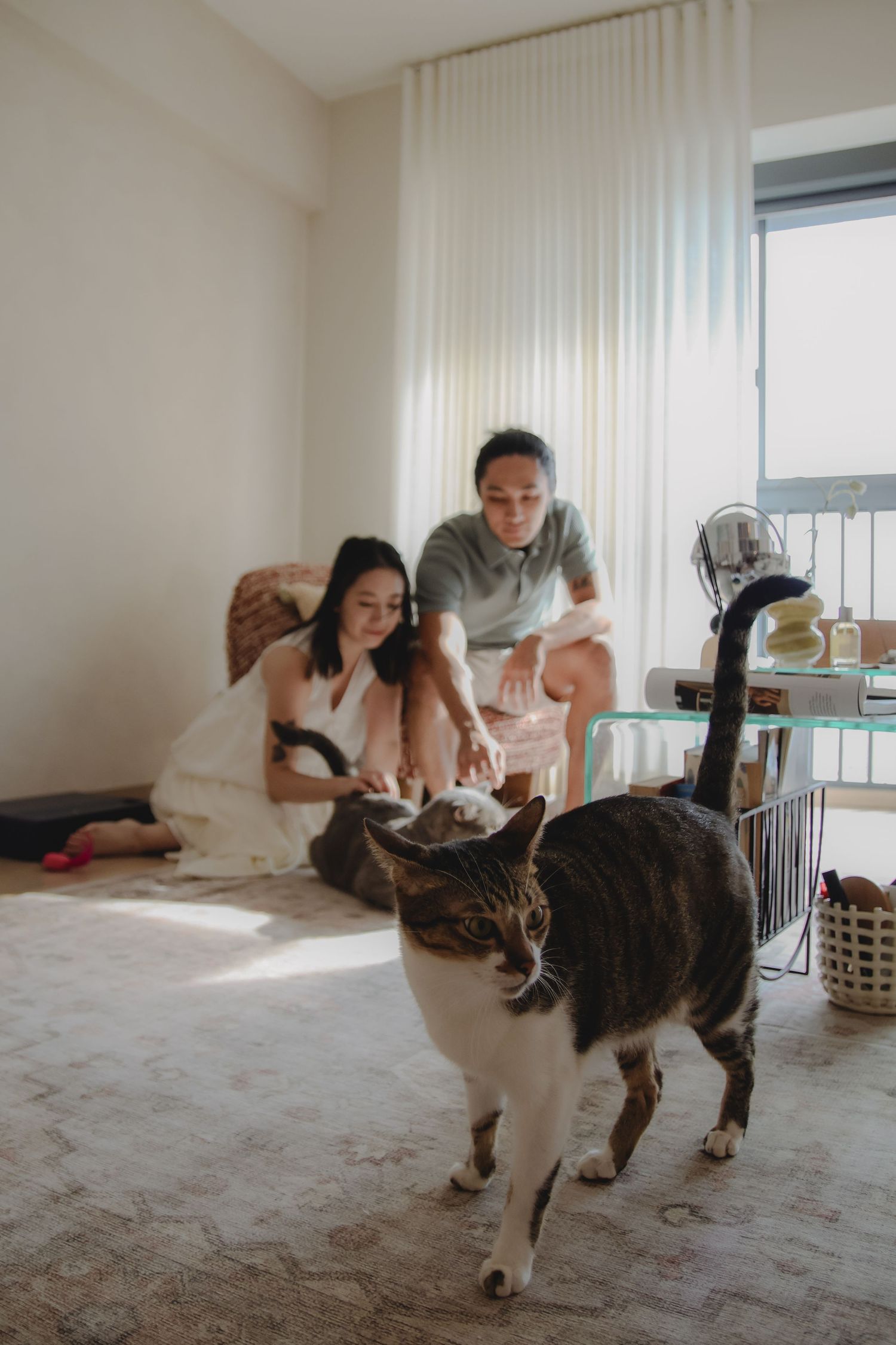 In-home pet photography in Singapore with jingwensathome