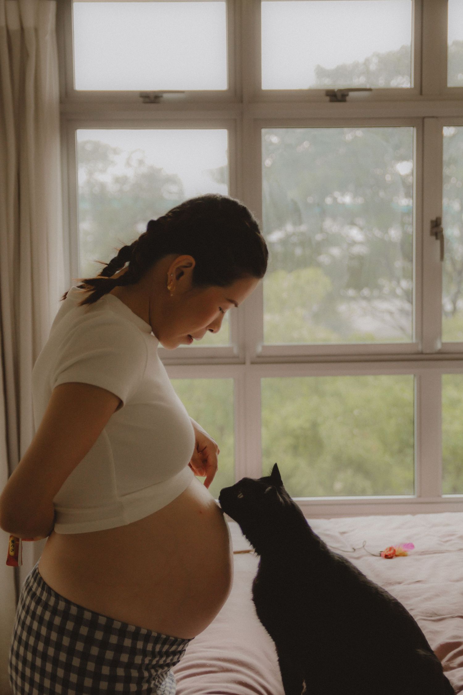 in-home maternity portrait photography in Singapore with natural light, emotional storytelling and cats