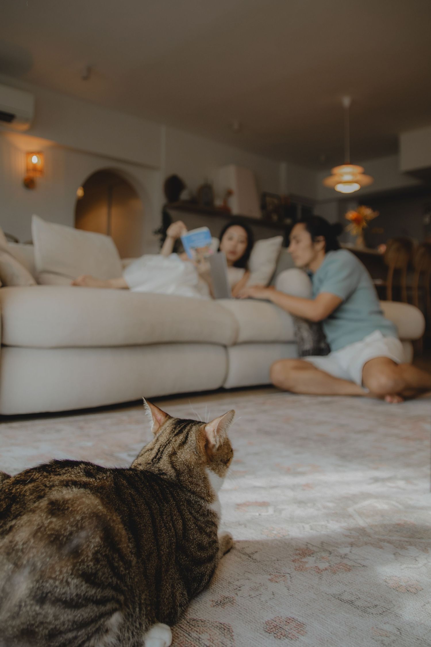 In-home pet photography in Singapore with jingwensathome