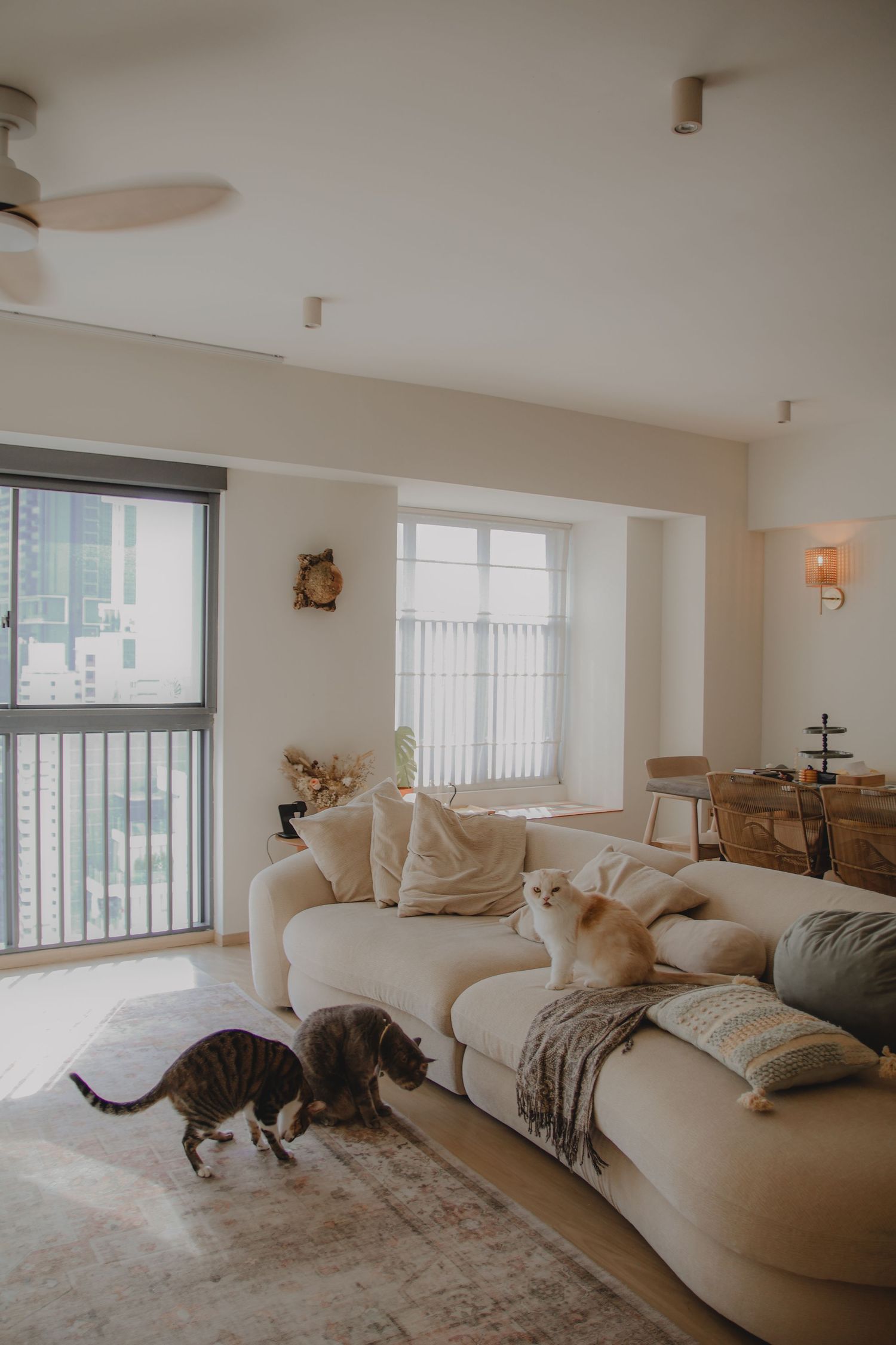 In-home pet photography in Singapore with jingwensathome